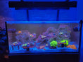 Load image into Gallery viewer, ReefBreeders Photon V2 Pro Light Shade Set