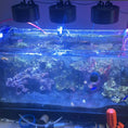 Load image into Gallery viewer, Light Shade for Kessil A80, H80 & Tuna Blue/Sun LEDs