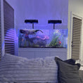Load image into Gallery viewer, Kessil AP9X Light Shade