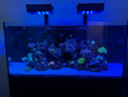 Load image into Gallery viewer, AquaIllumination Hydra Edge 44HD Light Shade