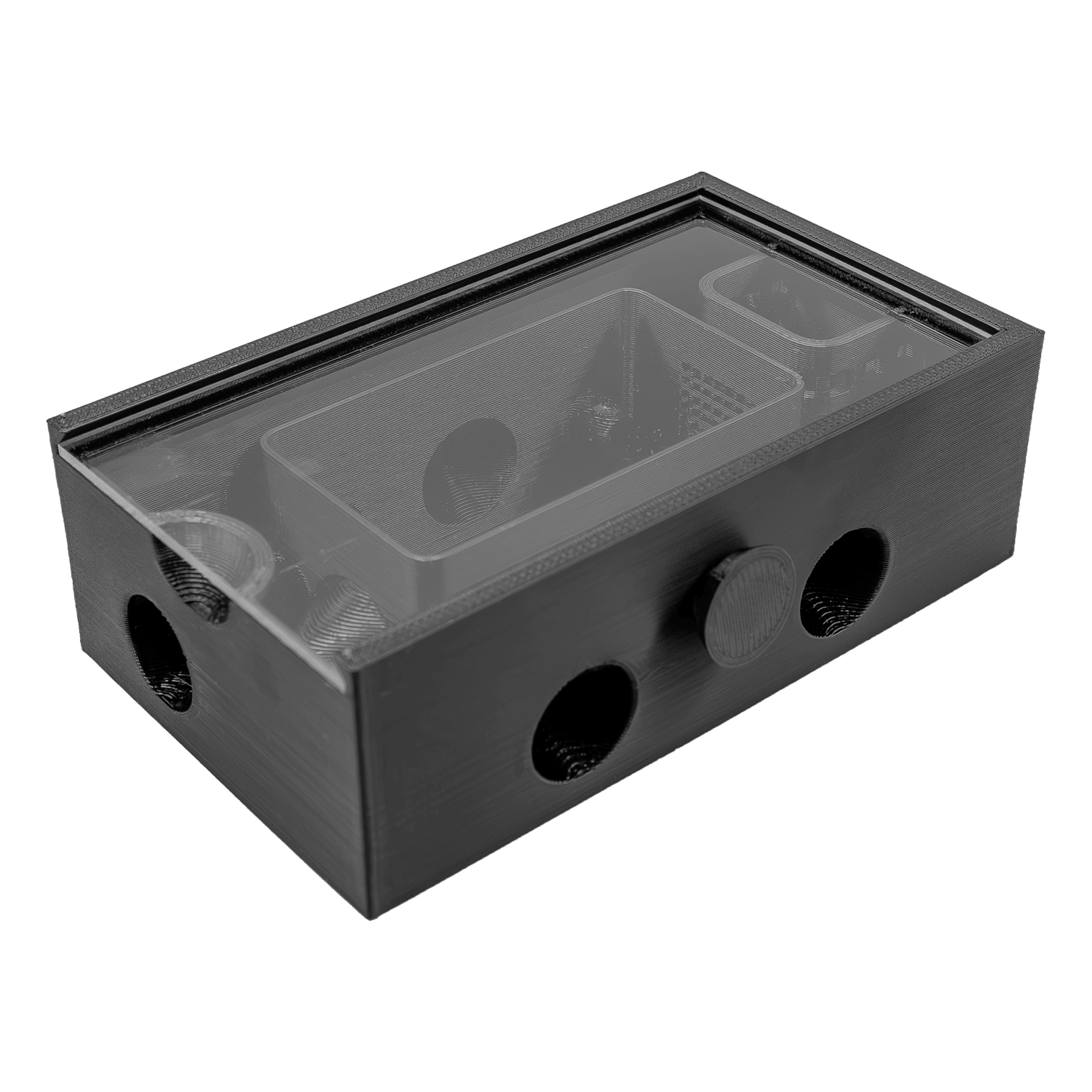 Bristle Worm Trap - Printed Reef