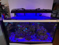 Load image into Gallery viewer, AquaIllumination Blade Light Shade Set of 2 (Coral Grow, Glow, Freshwater, Refugium)
