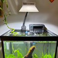 Load image into Gallery viewer, AquaIllumination Prime 16 HD LED Reef Light Shade