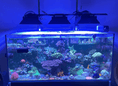 Load image into Gallery viewer, Ecotech Radion XR30 Light Shade - Printed Reef
