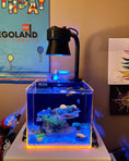 Load image into Gallery viewer, Kessil A360X/XE Light Shade