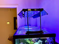 Load image into Gallery viewer, ReefBreeders Photon V2 Pro Light Shade Set