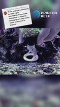 Load and play video in Gallery viewer, Coral Frag Plug Sand Stands - Set of 5
