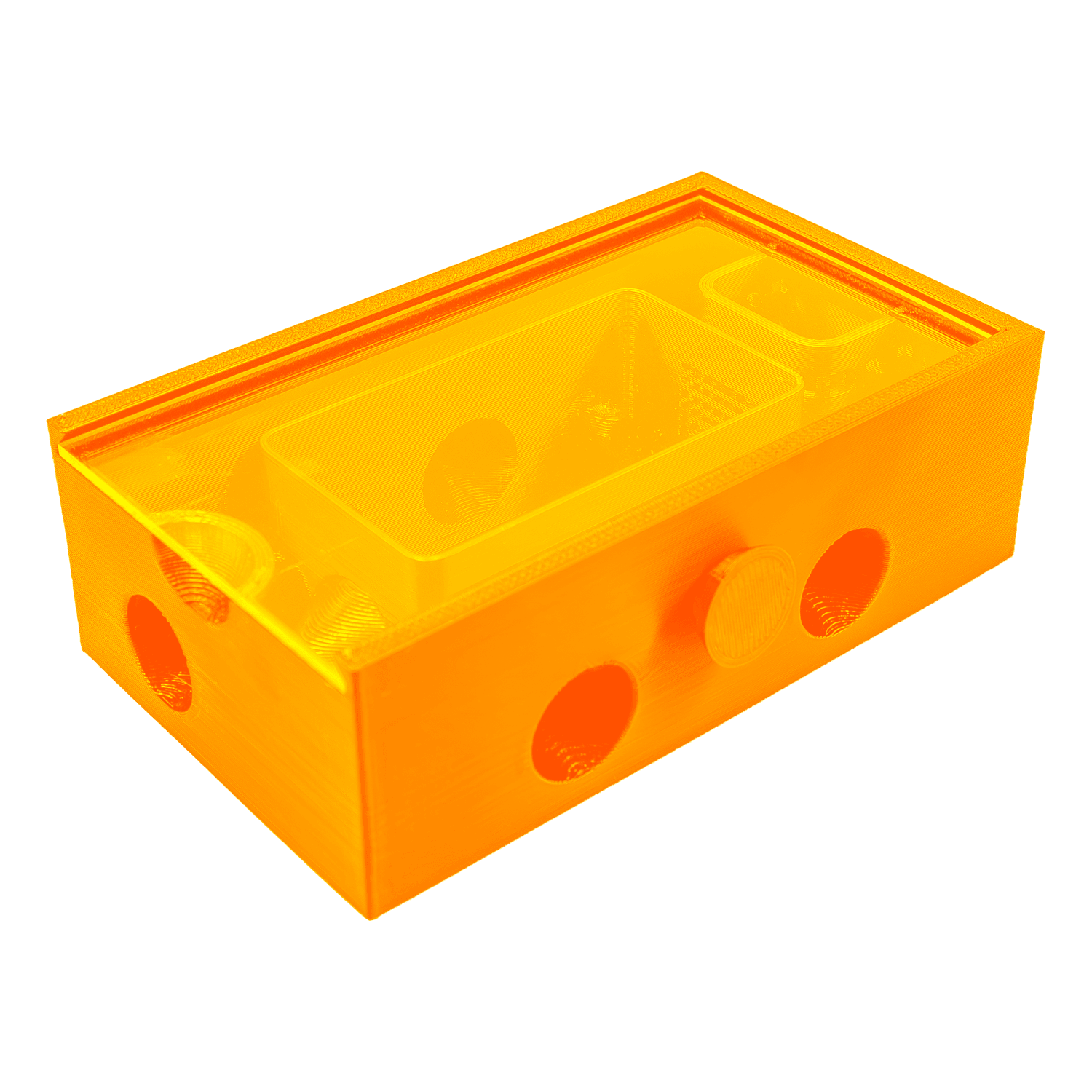 Bristle Worm Trap - Printed Reef