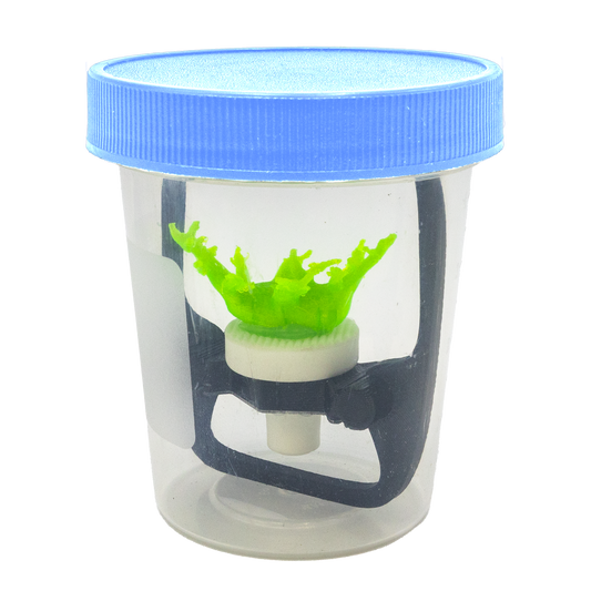 The Ultimate Guide to Coral Frag Transport: Protect Your Corals with the Coral Frag Transport Cup Kit