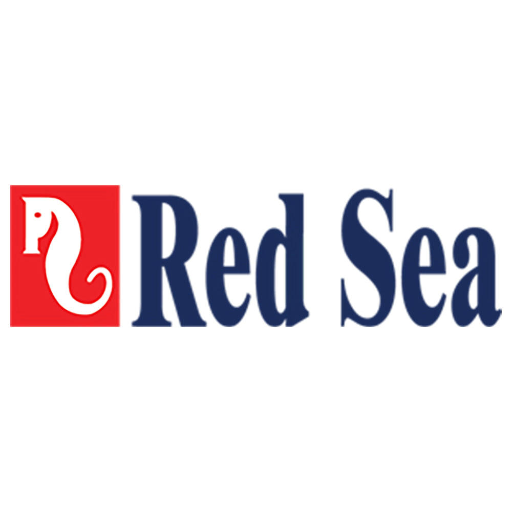 Red Sea