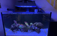 Load image into Gallery viewer, Neptune Systems SKY LED Light Shade
