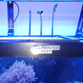 Load image into Gallery viewer, Mangrove Seedling Holder for Aquariums and Refugiums
