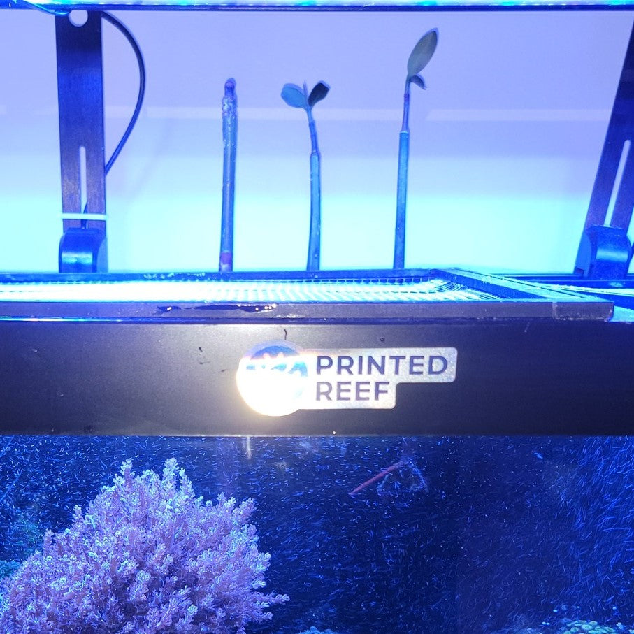 Mangrove Seedling Holder for Aquariums and Refugiums