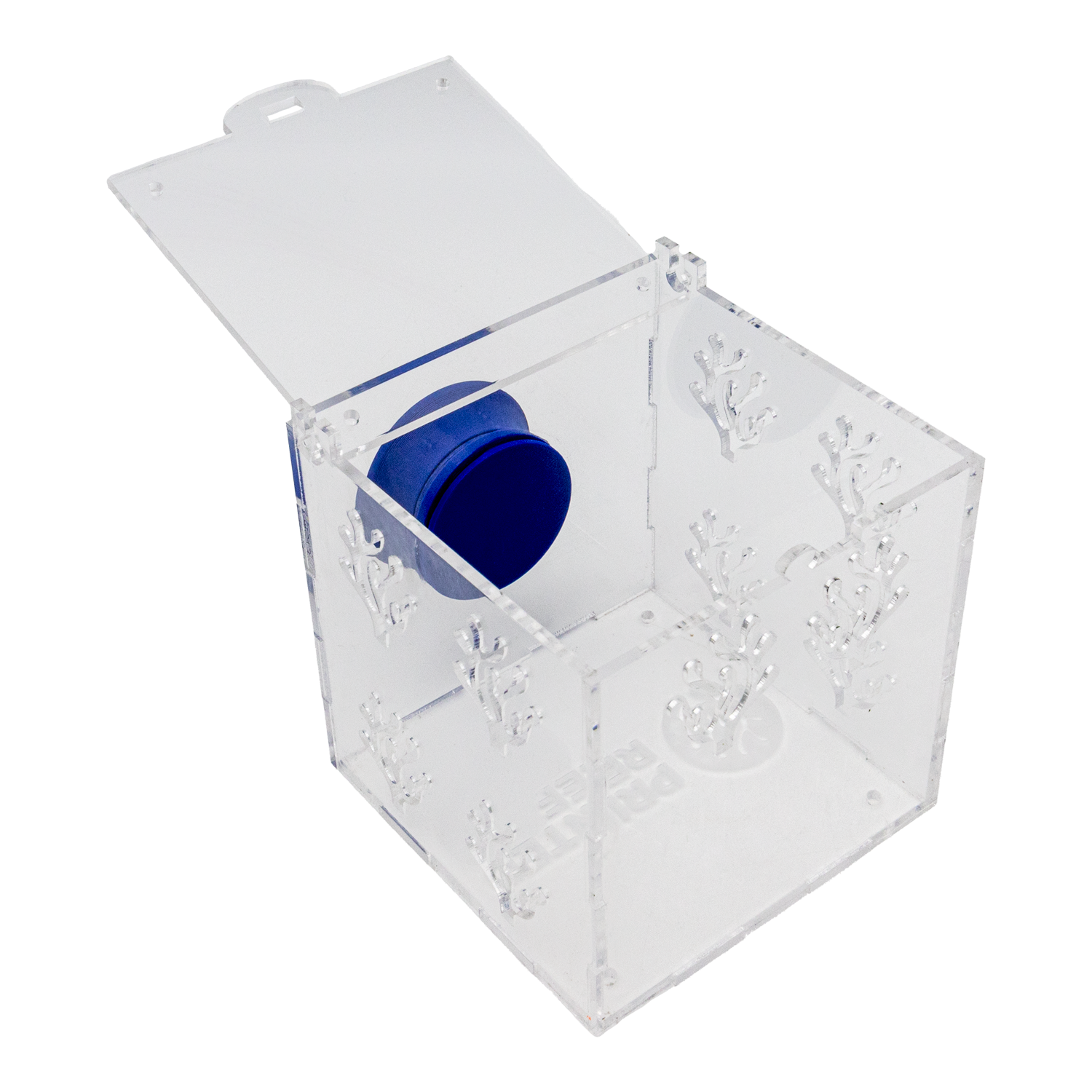 Magnetic Acrylic Anemone & Mushroom Box | Printed Reef Magnetic Acrylic Anemone & Mushroom Box | Printed Reef