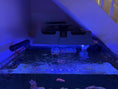 Load image into Gallery viewer, Neptune Systems SKY LED Light Shade
