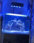Load image into Gallery viewer, AquaIllumination Hydra 64 HD LED Reef Light Shade
