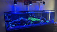 Load image into Gallery viewer, Kessil A360X/XE Light Shade
