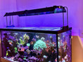 Load image into Gallery viewer, ReefBreeders Photon V2 Pro Light Shade Set
