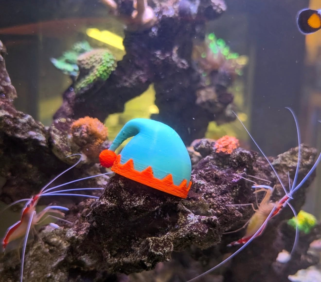 Printed Reef Christmas Sea Urchin Hats | Set of 3