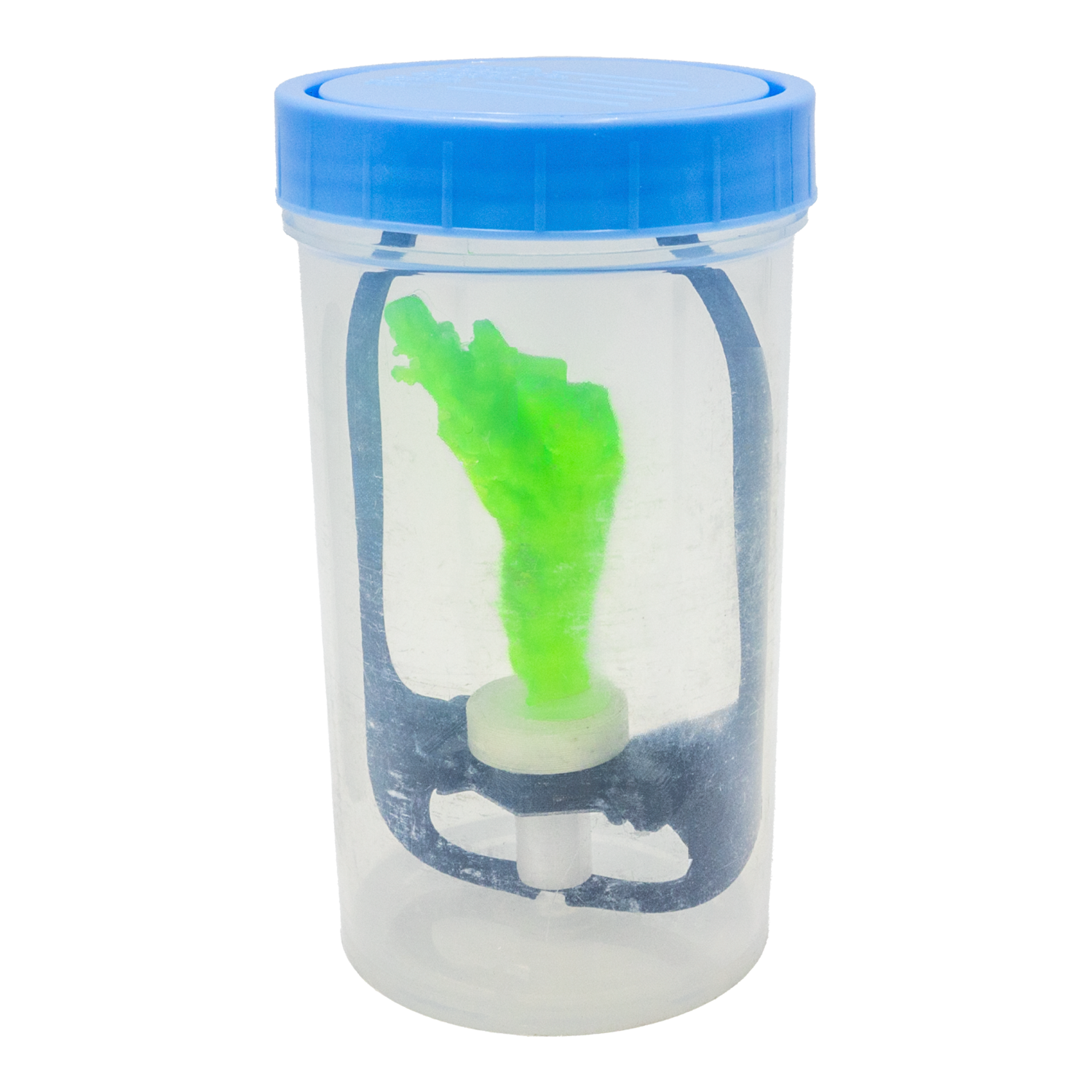 Coral Frag Transport Cup Kit