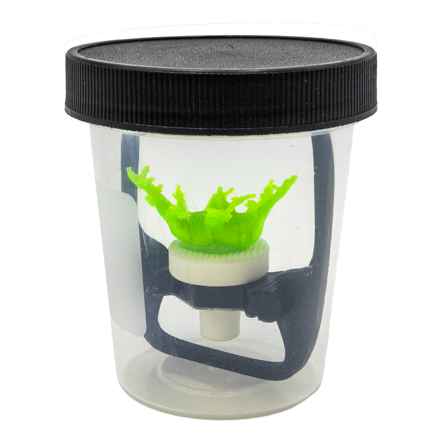 Coral Frag Support Travel Cup