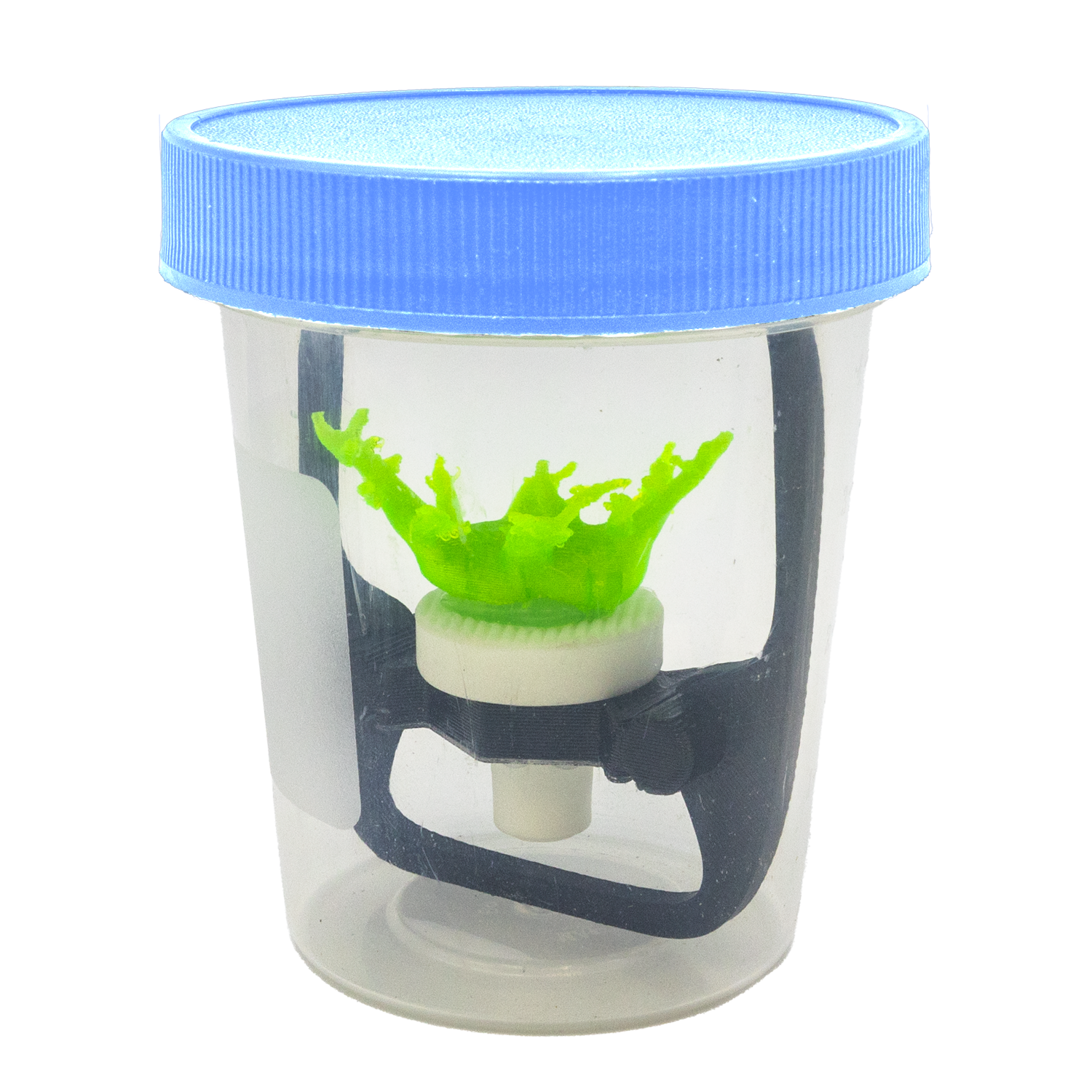 Coral Frag Support Travel Cup