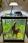Load image into Gallery viewer, AquaIllumination Prime 16 HD LED Reef Light Shade
