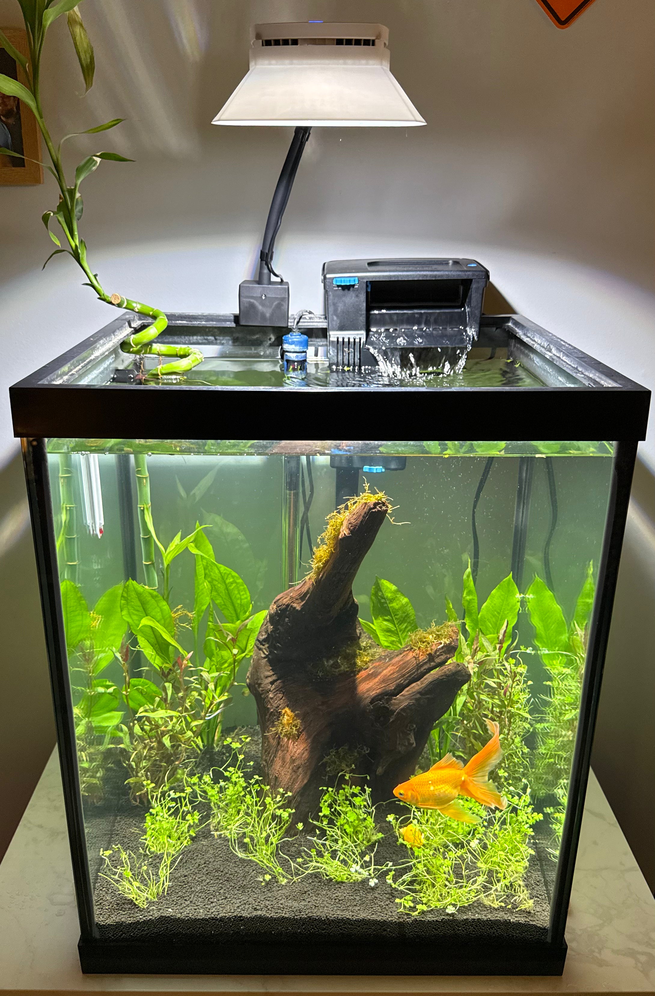 AquaIllumination Prime 16 HD LED Reef Light Shade