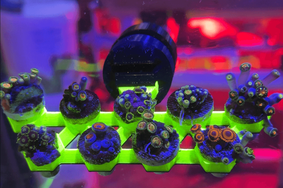 FragLoc™ - Magnetic Coral Frag Rack with Innovative Secure Plug Design ...