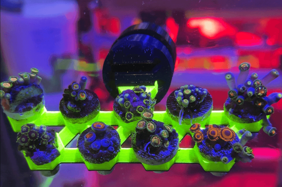 FragLoc™ - Magnetic Coral Frag Rack with Innovative Secure Plug Design ...