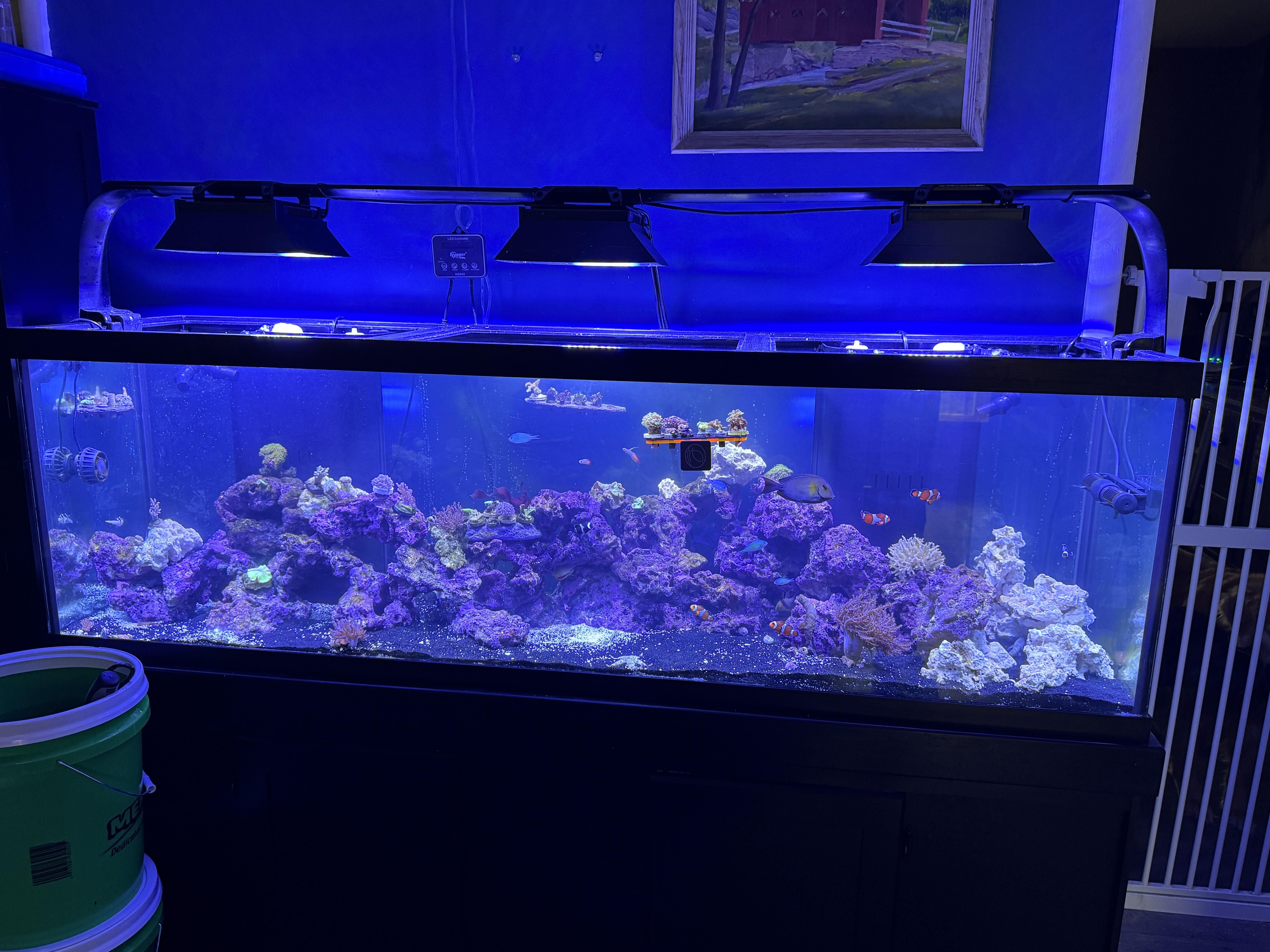 EcoTech Marine – Printed Reef