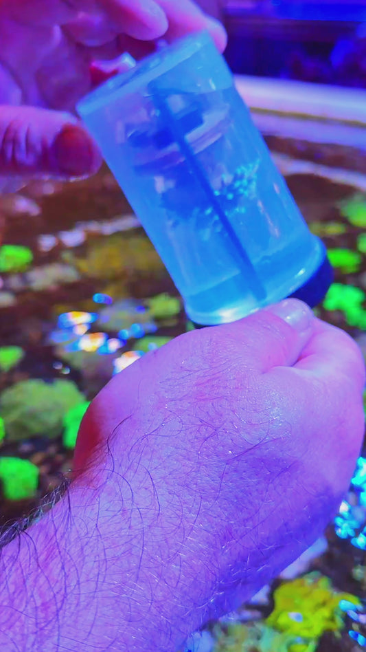 FragLoc™ - Coral Frag Transport Cup Kit