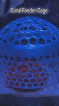 Load and play video in Gallery viewer, Coral Feeder Cage
