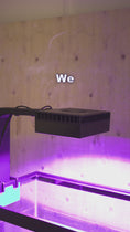 Load and play video in Gallery viewer, Red Sea ReefLED 90 LED Light Shade
