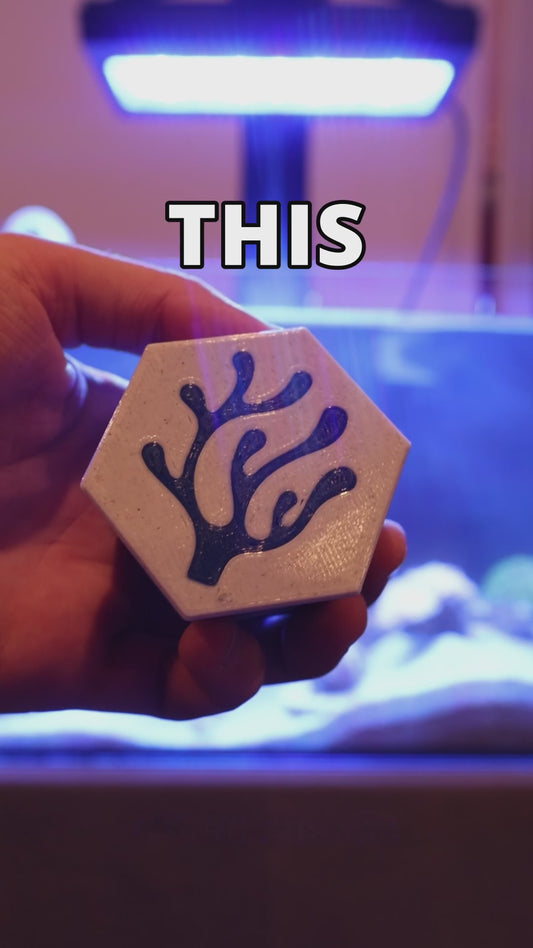 Scrub Buddy - Magnetic Aquarium Glass Algae Scrubber