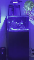 Load and play video in Gallery viewer, ReefBreeders Meridian & Meridian Edge Light Shade (Set of 2)
