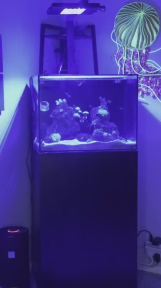 ReefBreeders Meridian & Meridian Edge Light Shade (Set of 2)